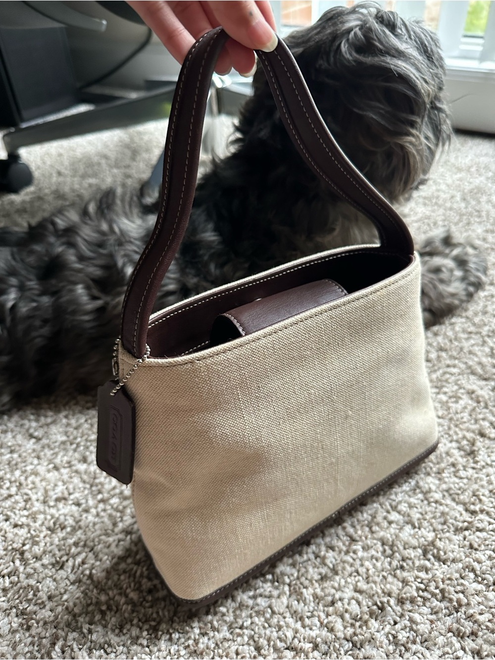 Coach Canvas Shoulder Bag in Cream with Dark Brown Trim